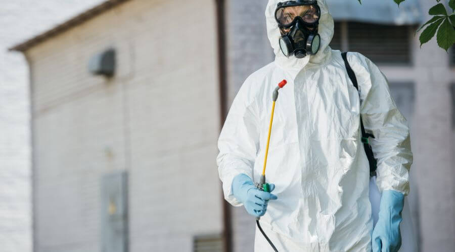 Professional pest control services in Stirling